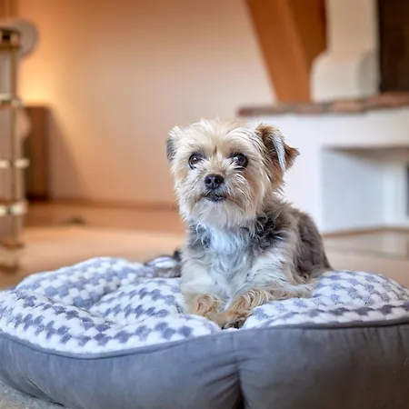 Hotel Relais&châteaux Tennerhof 5*