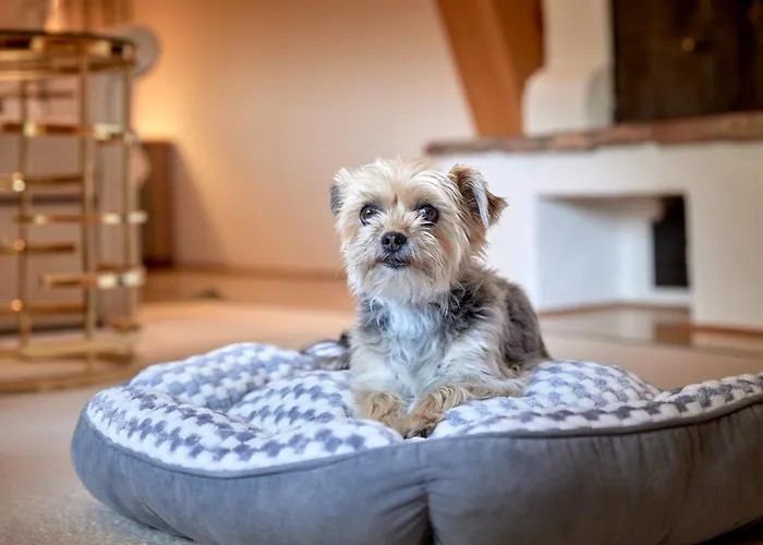 Otel Relais & Chateaux Tennerhof 5*